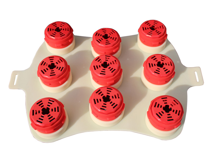 威县梅花灸器腰背屁股灸