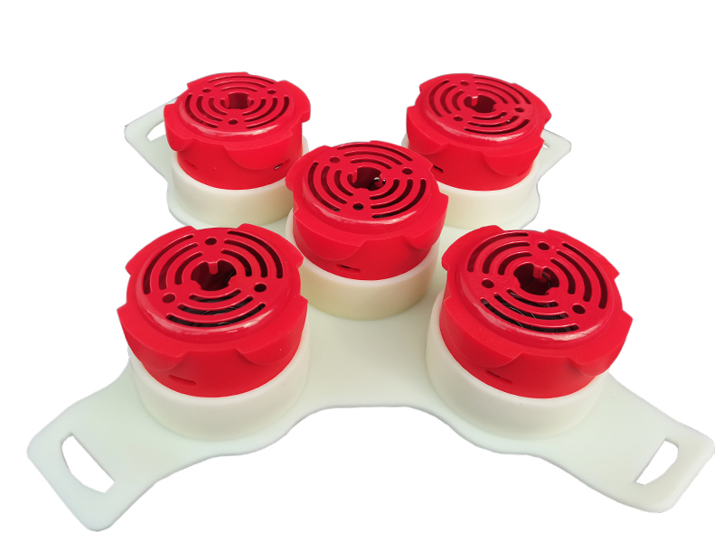 梅花灸具腹部灸